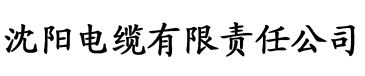 a级国产乱理伦片电缆厂logo